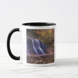Tasse Amérique du Nord, États-Unis, Utah, Zion Nationa