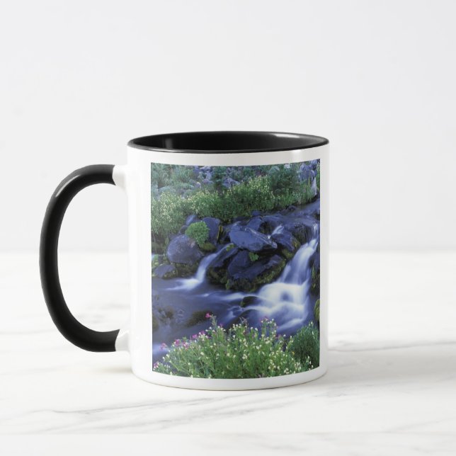 Tasse Amérique du Nord, États-Unis, Washington, Mt Raini (Gauche)