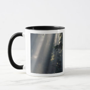 Tasse Amérique du Nord, États-Unis, Washington, Parc nat