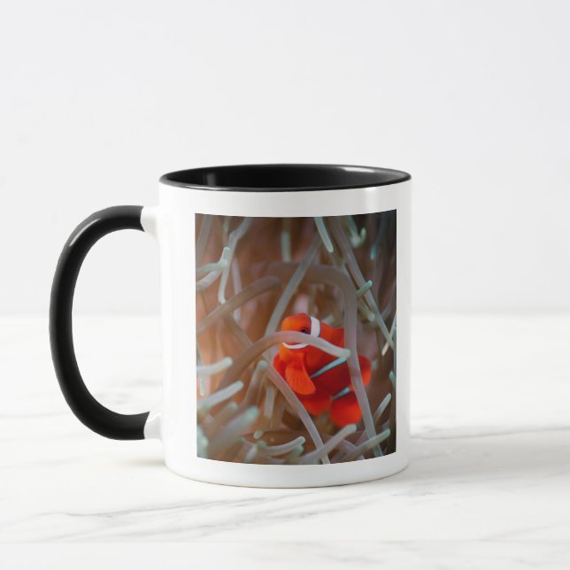 Tasse Anemonefish 2 de clown (Gauche)