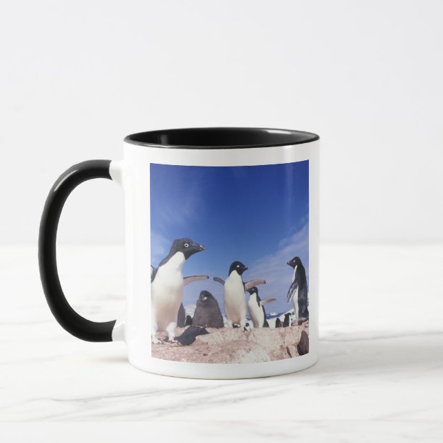 Tasse Antarctique, Adelie Penguin Pygoscelis (Gauche)