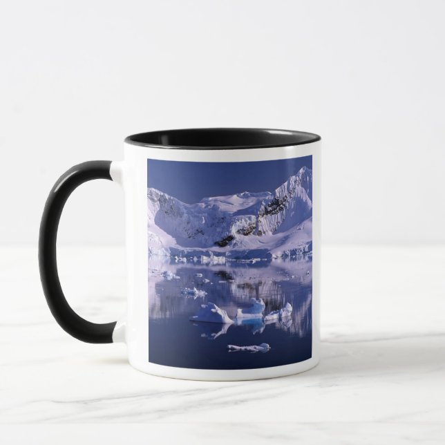 Tasse Antarctique, baie de Paradise (Gauche)