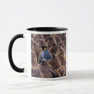 Tasse Antarctique, île de Géorgie du Sud, manchots royau