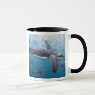 Tasse Antarctique, île de Géorgie du Sud Royaume-Uni
