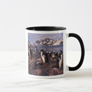 Tasse Antarctique, poussins de pingouin d'Adelie