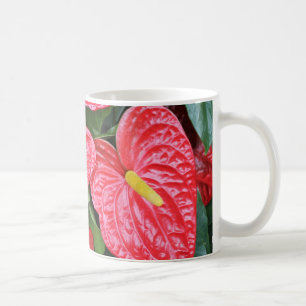 TASSE - anthure rouge