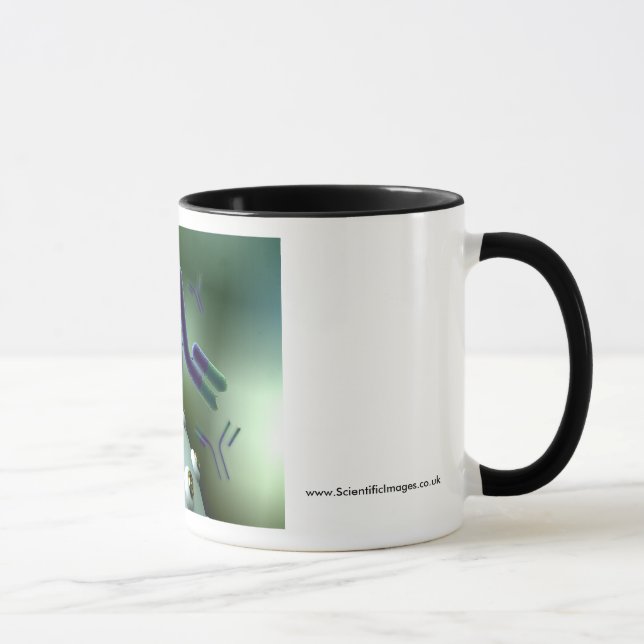 Tasse Anticorps monoclonaux (Droite)