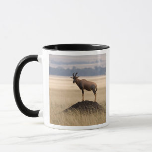 Tasse Antilope de Tsessebe sur la surveillance pour des