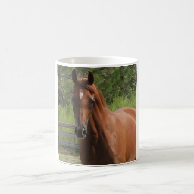 Tasse Arabe de cheval de châtaigne (Centre)