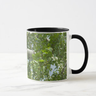 TASSE ARBRE ARRIÈRE