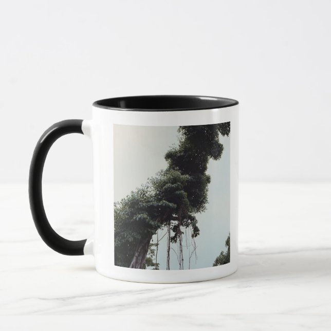 Tasse Arbre et vignes trés hauts dans la jungle (Gauche)