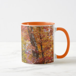 Tasse Arbres automnes oranges et jaunes Photographie d'a