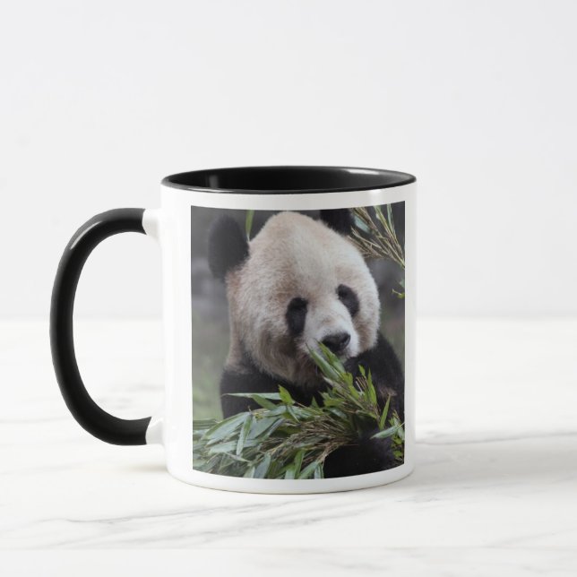 Tasse Asie, Chine Chongqing. Panda géant (Gauche)