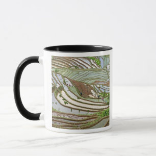 Tasse Asie, Chine, Yunnan, Jinping. Peuple Yi indigène