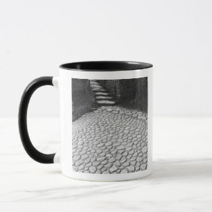 Tasse Asie, Japon, Hiroshima. Détail de Shukkei, en