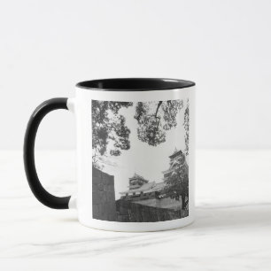 Tasse Asie, Japon, Kumamoto. Kumamoto, château de Kumamo