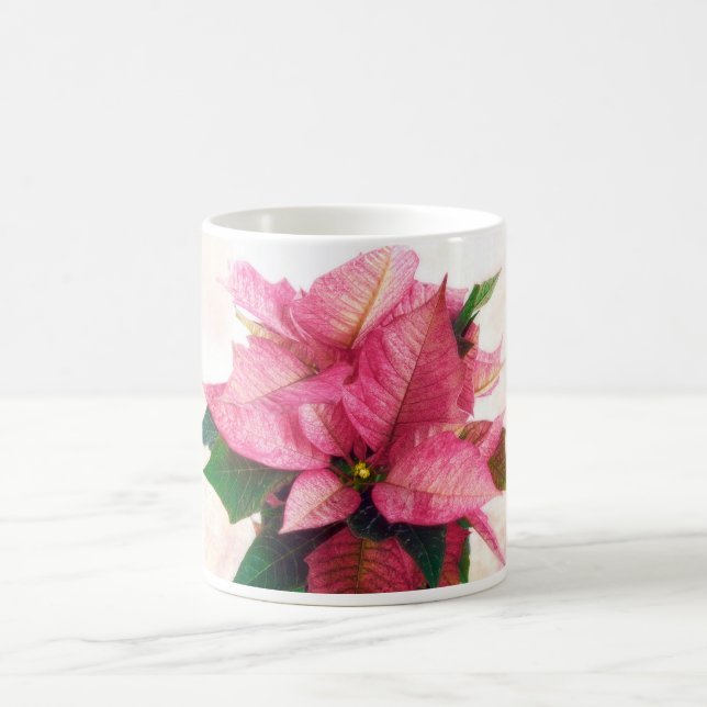 Tasse assez rose de poinsettia (Centre)
