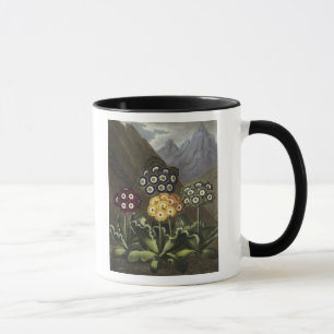 Tasse Auricules de Dr. John Robert Thornton's