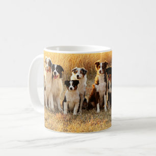Tasse australienne de berger