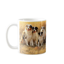 Tasse australienne de berger