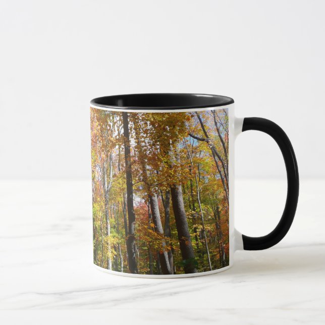 Tasse Automne Forêt II Automne Paysage Photographie (Droite)