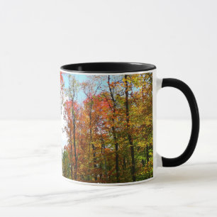 Tasse Automnes Arbres et Ciel bleu Automne Photographie