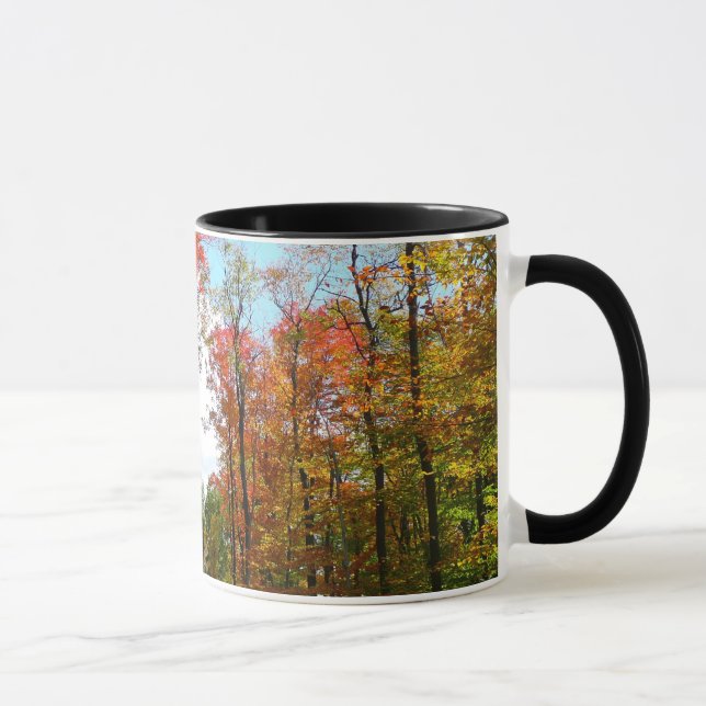 Tasse Automnes Arbres et Ciel bleu Automne Photographie  (Droite)