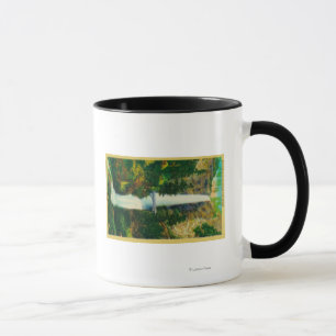 Tasse Automnes de Multnomah et pont de pied de Benson