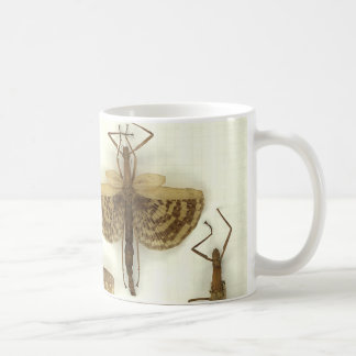 Tasse avec des insectes de bâton