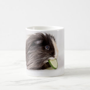 Tasse avec le cobaye mignon mangeant le concombre