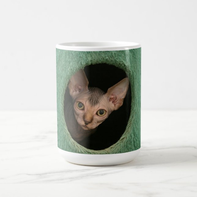 Tasse avec un chaton mignon de sphynx (Centre)