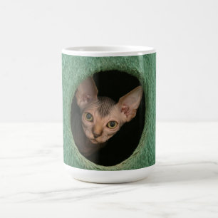 Tasse avec un chaton mignon de sphynx