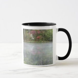 Tasse Azalées se reflétant dans un étang au petit matin