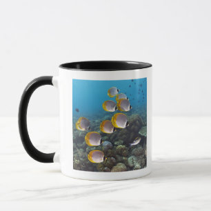 Tasse Bali, Indonésie