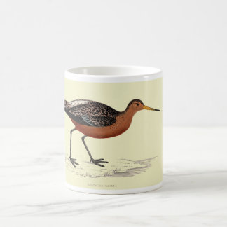 Tasse - barge coupée la queue par barre