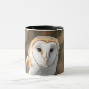 Tasse Barn Owl