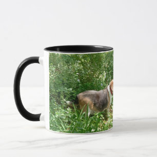 Tasse Beagle 