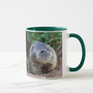 Tasse bébé marmotte curieuse