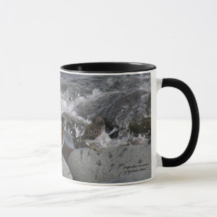 Tasse Bécasseau de roche (ptilocnemis de Calidris)