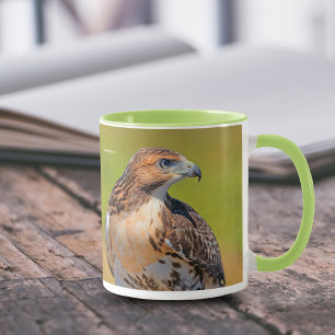 Tasse Belle Buse à queue rousse
