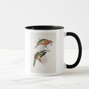 Tasse Bill repéré Aracari, 19ème siècle