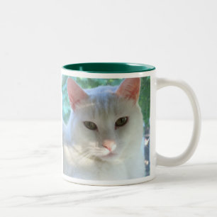 Tasse blanche de chat de cheveux courts avec le