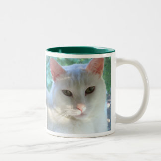 Tasse blanche de chat de cheveux courts avec le
