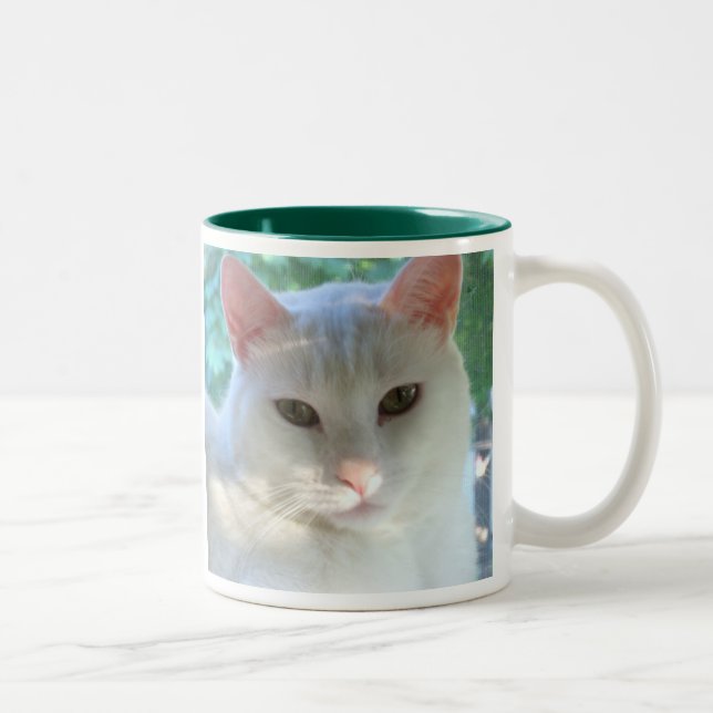 Tasse blanche de chat de cheveux courts avec le (Droit)