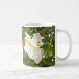 Tasse blanche de Cofee de Plumeria