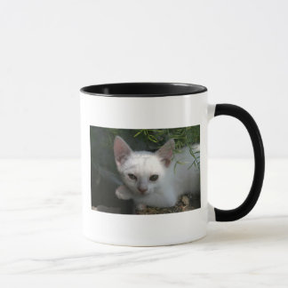 Tasse blanche de minou