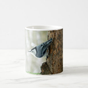 Tasse blanche de sittelle de Breasted