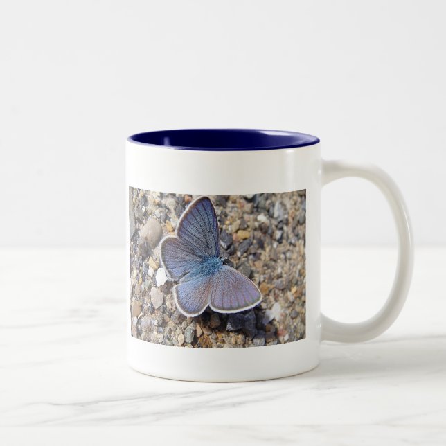 Tasse blauer Schmetterling (Droit)
