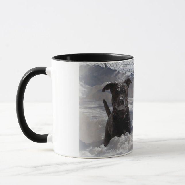 Tasse Bleu Nez Pit Tirer Terrier dans la boue de neige (Gauche)
