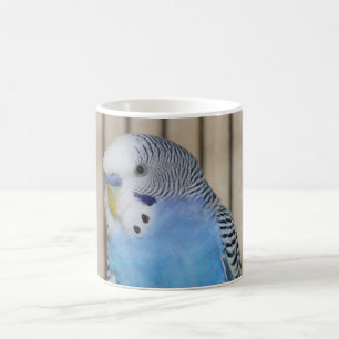 Tasse bleue de perruche